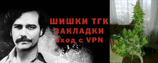 MESCALINE Белокуриха
