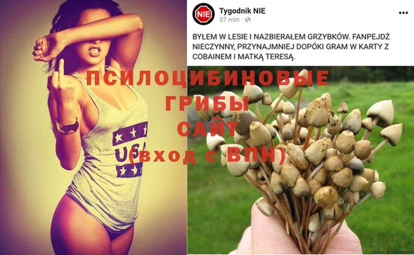 первитин Беломорск
