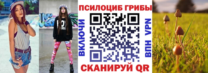 Галлюциногенные грибы мицелий  Купить закладки  Верхняя Салда 
